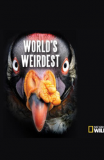 National Geographic: Самые странные в мире