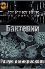 Секретные территории: Бактерии. Разум в микроскопе