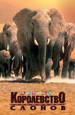 Discovery. Африка – королевство слонов