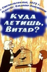 Куда летишь, Витар?