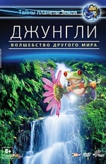 Джунгли 3D: Волшебство другого мира