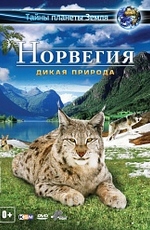 Норвегия 3D: Дикая природа