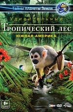 Тропический лес 3D